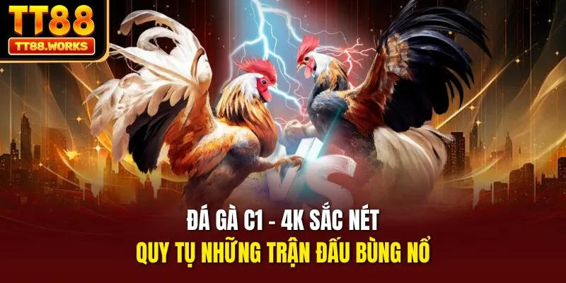 Đá Gà C1 - 4K Sắc Nét, Quy Tụ Những Trận Đấu Bùng Nổ