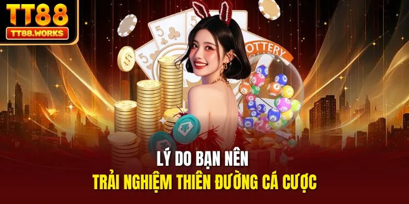 Lý do bạn nên trải nghiệm thiên đường cá cược